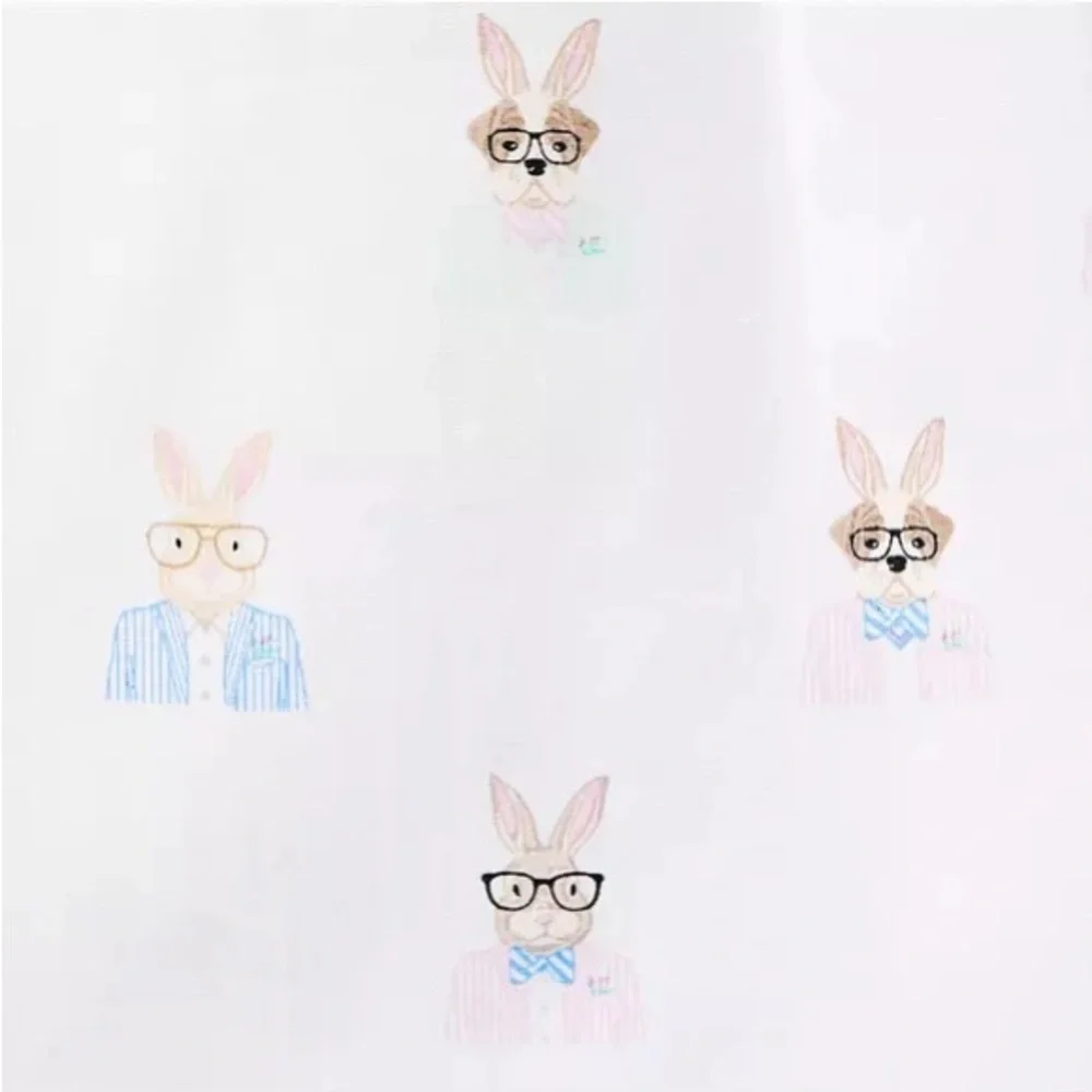 Janie and Jack shirt dapper